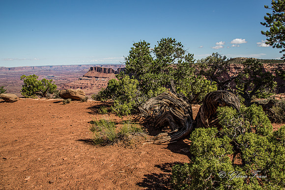 Needles Overlook, Canyonlands GLO7877