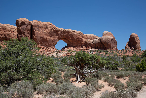 Arches National Park, Moab, Utah-2-53