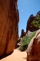 Arches National Park, Moab, Utah-2-38