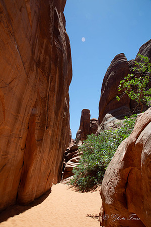 Arches National Park, Moab, Utah-2-38