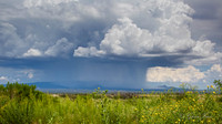 Hereford, AZ   6