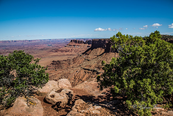 Needles Overlook, Canyonlands GLO7879