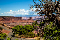 Canyonlands, Dead Horse Point GLO7908