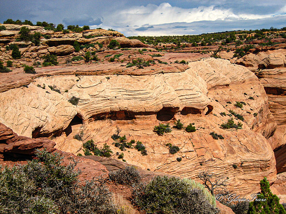 Canyon de Chelly, IMG_4757-4