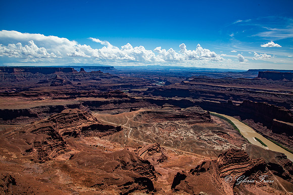 Canyonlands, Dead Horse Point  GLO7901