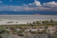 Antelope Island, Salt Lake, Utah 2555