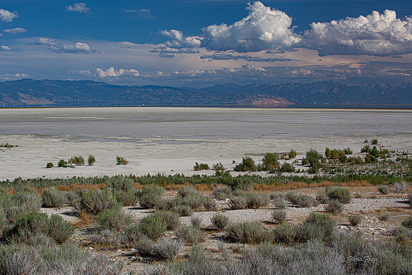 Antelope Island, Salt Lake, Utah 2555