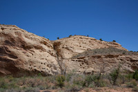 Capitol Reef-2888