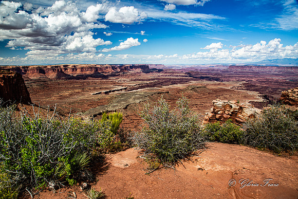 Canyonlands, Dead Horse Point  GLO7916
