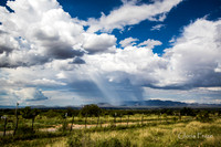 Hereford, AZ   5