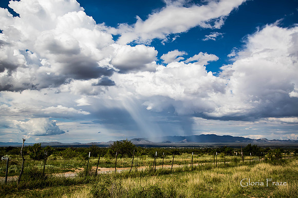 Hereford, AZ   5