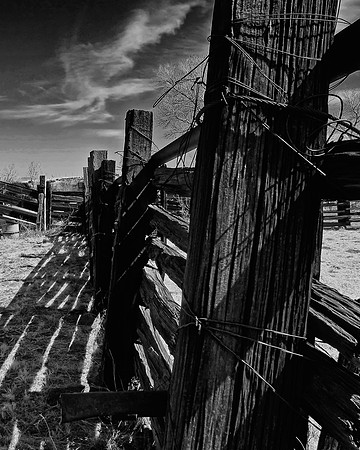 Fence, Brown Canyon Ranch (BW)