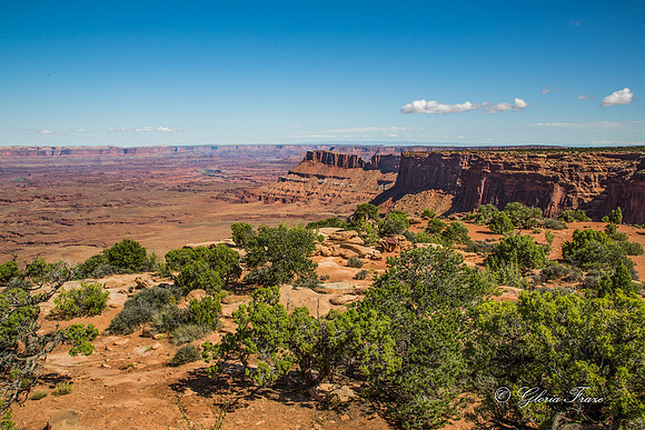 Needles Overlook, Canyonlands GLO7873