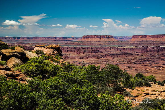 Needles Overlook, Canyonlands GLO7891