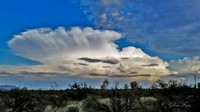 Hereford, AZ   3