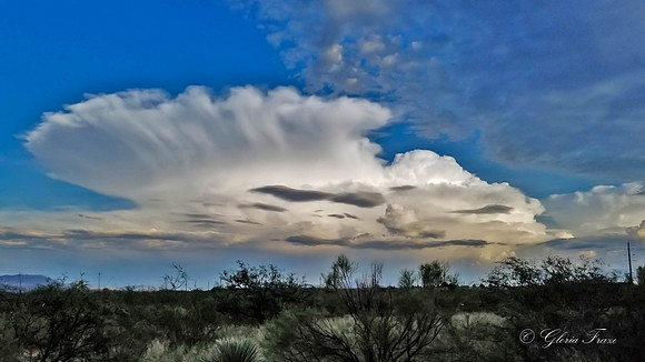 Hereford, AZ   3