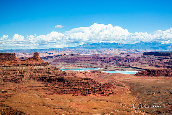 Canyonlands, Dead Horse Point  GLO7906