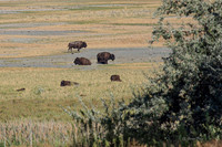 Antelope Island, Salt Lake, Utah 2648a