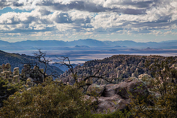 Chiricahua Ntl Monument 5320-