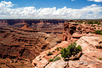 Canyonlands, Dead Horse Point GLO7905