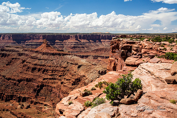 Canyonlands, Dead Horse Point  GLO7905